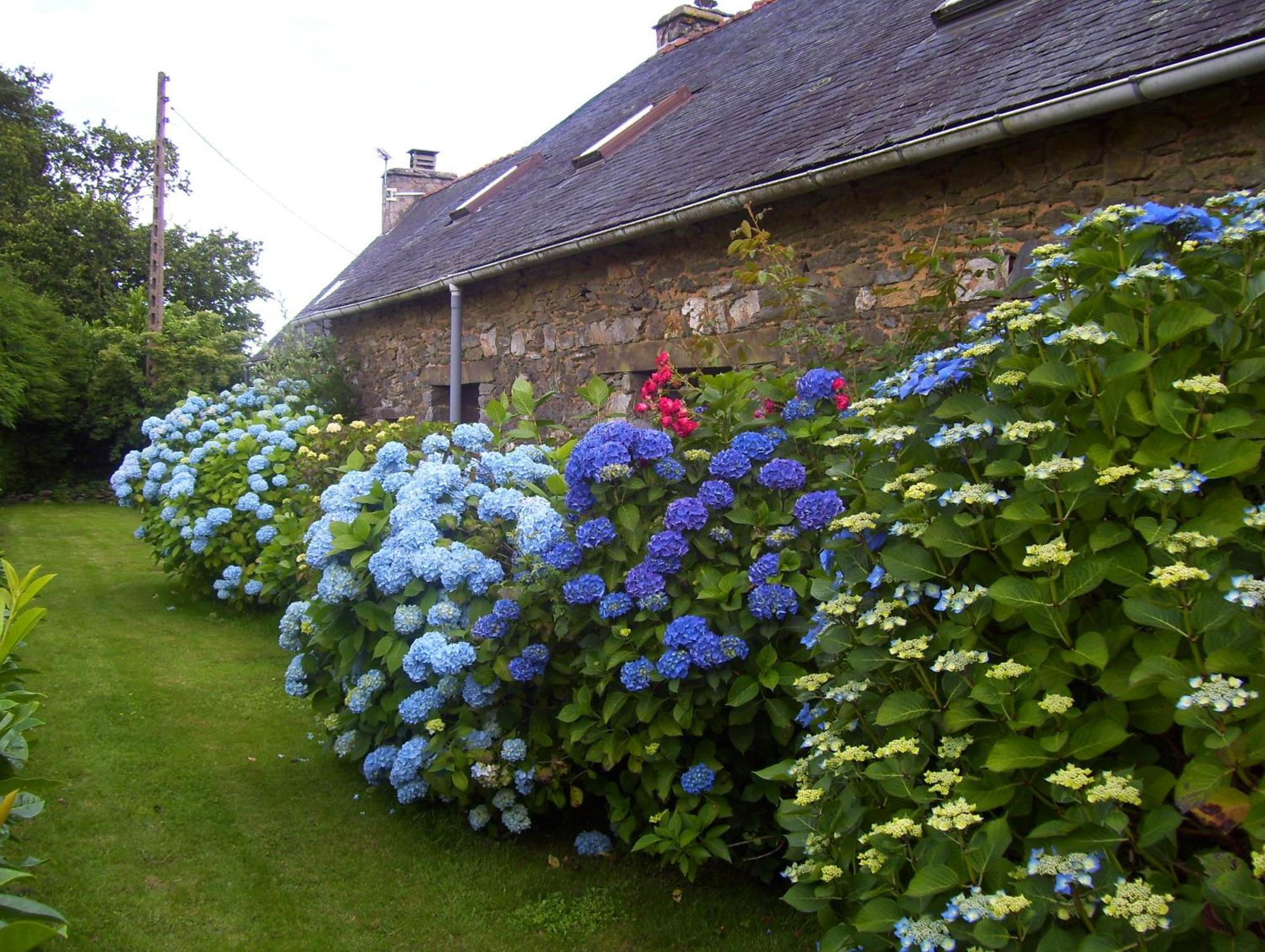 Le Boterff Gites Et Camping Saint-Mayeux 외부 사진